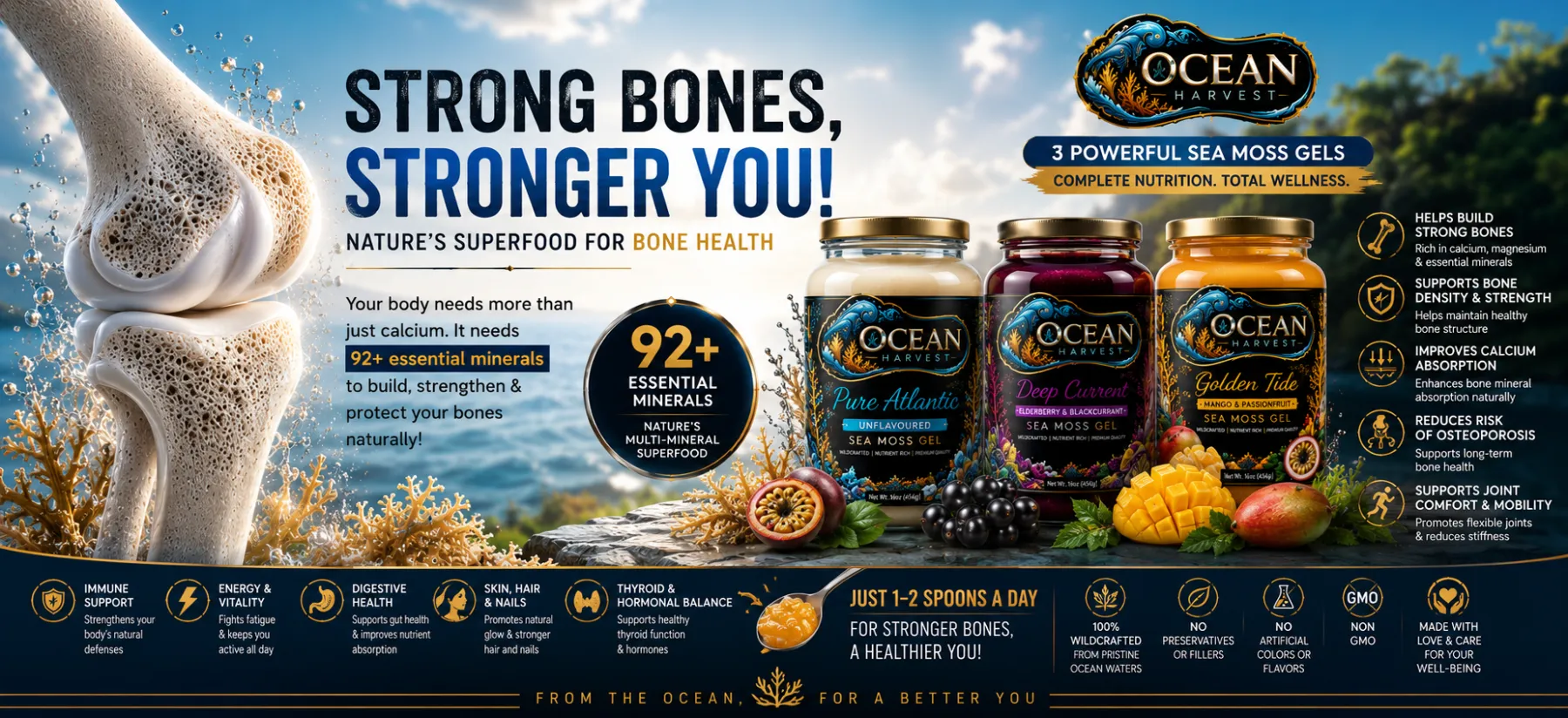 Strong bones, stronger you — sea moss for bone health