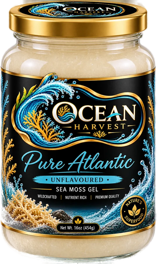 Pure Atlantic sea moss gel, 16 oz jar